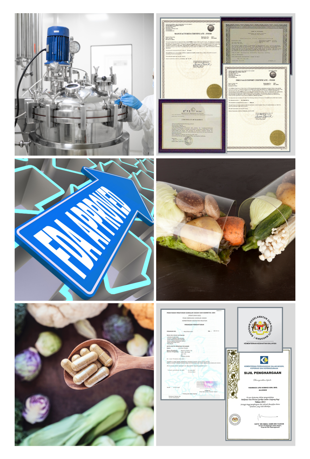 Certifications Visual