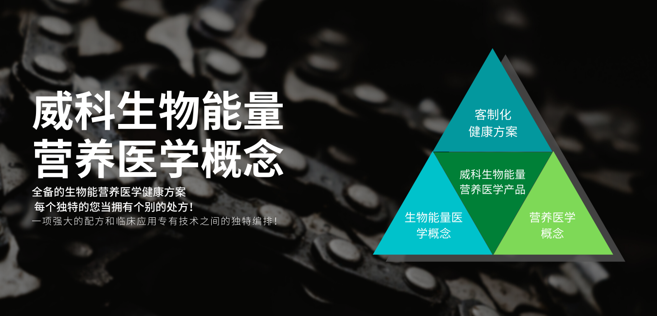 Bioenergetic Concept