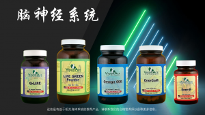 脑神经系统