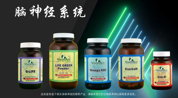 脑神经系统